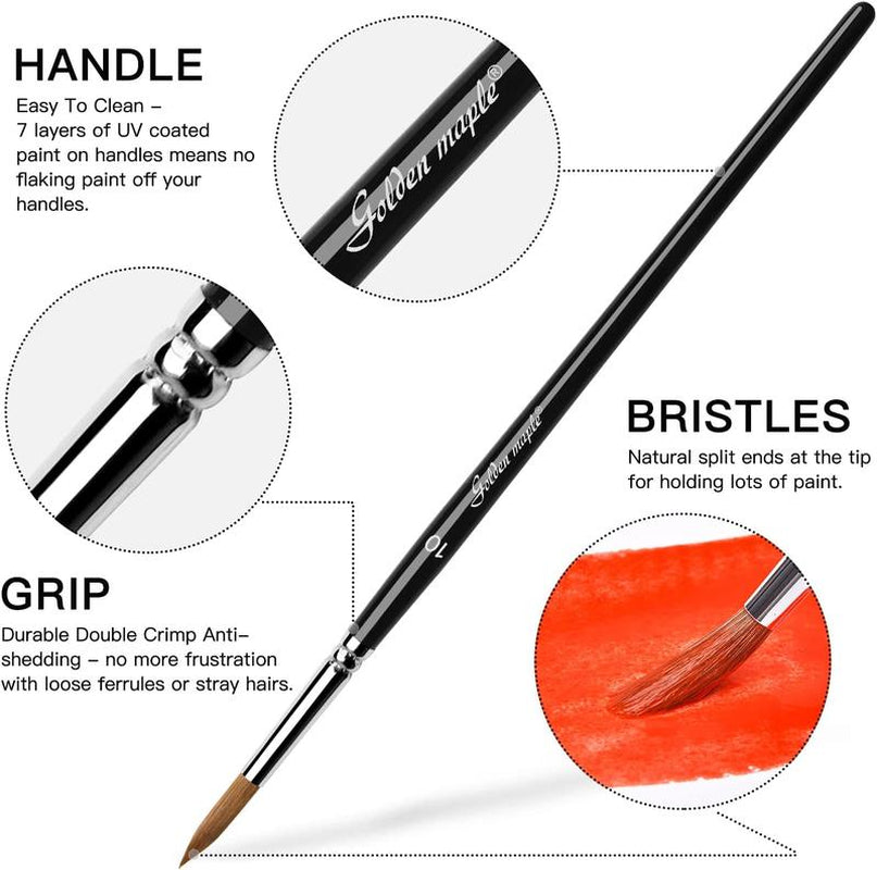 Golden Maple 10PCS Sable Watercolor Paint Brush Set-Round Tip, Flats, Dagger, Oval Wash for Detail Painting, Water Color, Gouache